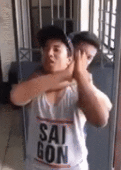 Acid GIFs, November 28 (25 gifs)