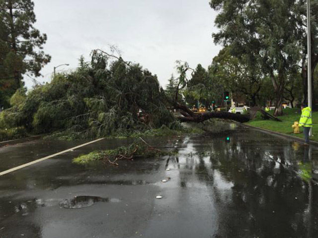 Bad Days Happen (37 pics) Bad Days Happen (37 pics)