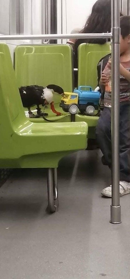 Strange People In The Subway (18 pics)