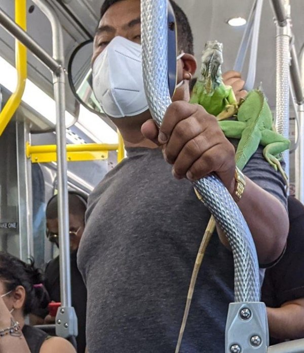 Strange People In The Subway (18 pics)