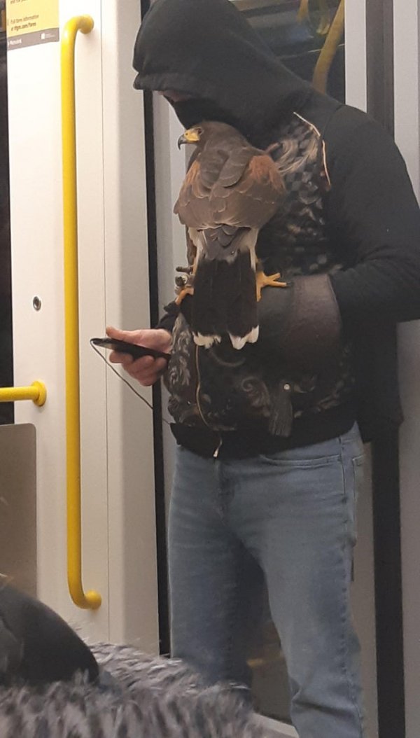 Strange People In The Subway (18 pics)