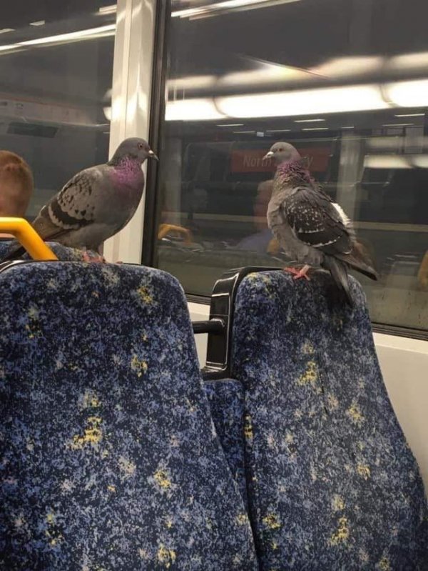 Strange People In The Subway (18 pics)