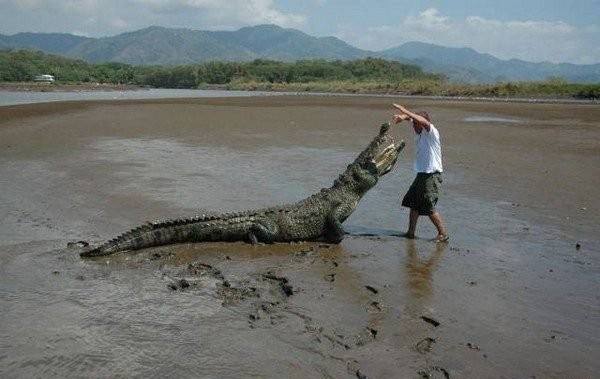 They Don't Care About Safety (18 pics) They Don't Care About Safety (18 pics)