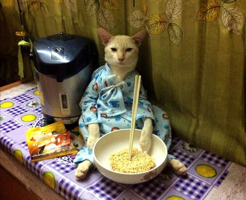 Daily Pictures. Part 1 (71 pics) Daily Pictures. Part 1 (71 pics)