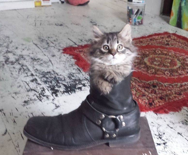 Daily Pictures. Part 1 (71 pics) Daily Pictures. Part 1 (71 pics)