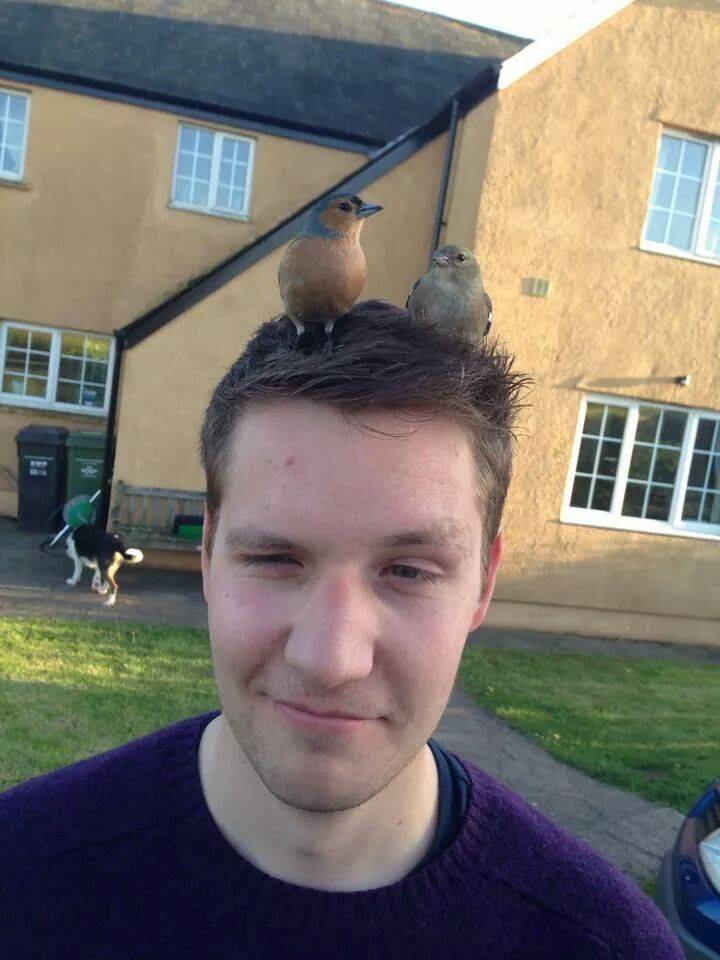 Daily Pictures. Part 1 (71 pics) Daily Pictures. Part 1 (71 pics)