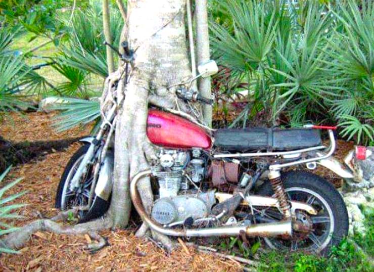 Daily Pictures. Part 1 (71 pics) Daily Pictures. Part 1 (71 pics)