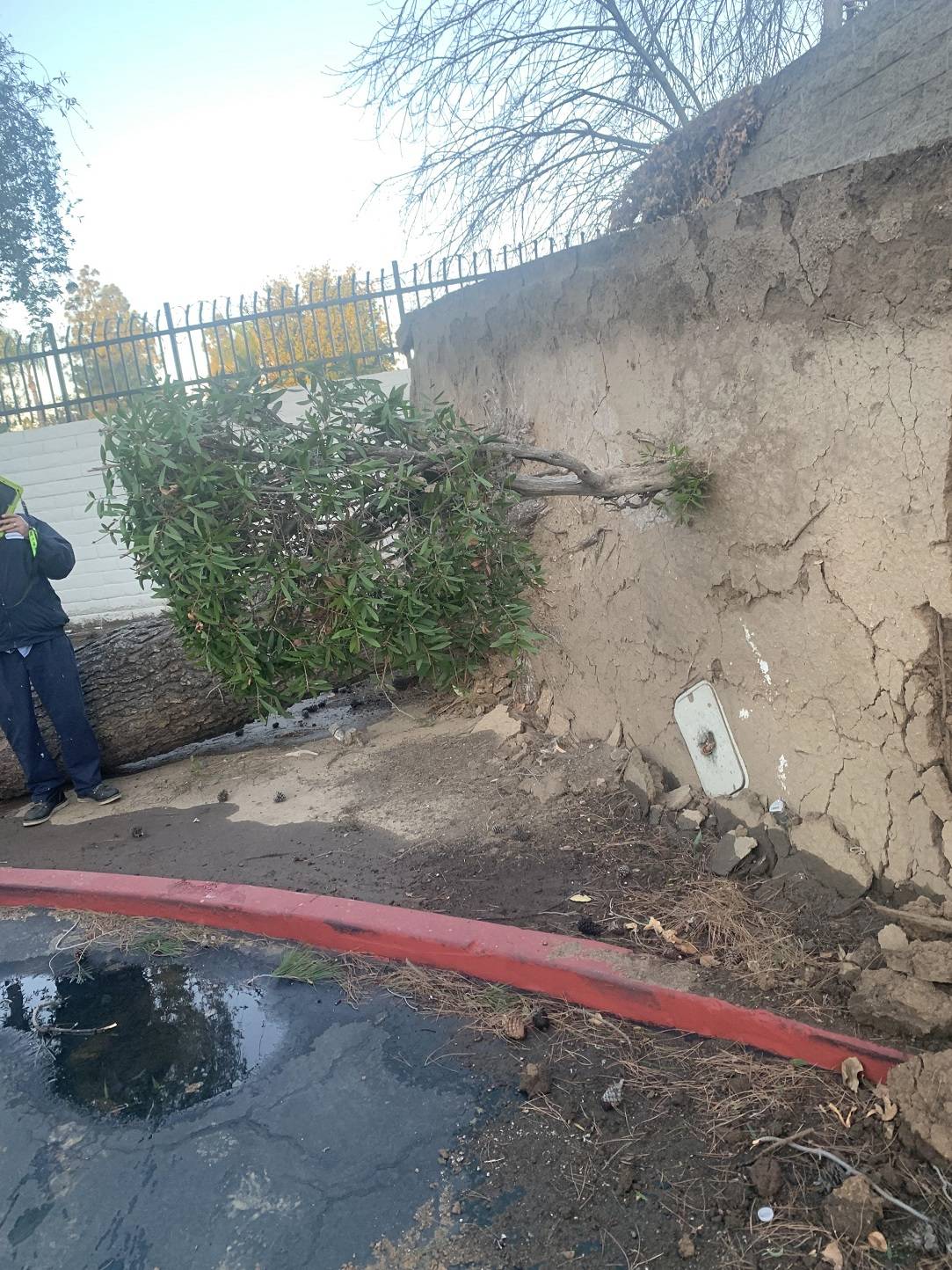 Daily Pictures. Part 1 (71 pics) Daily Pictures. Part 1 (71 pics)