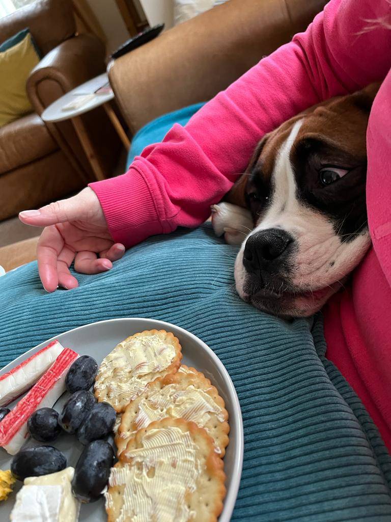 Daily Pictures. Part 1 (71 pics) Daily Pictures. Part 1 (71 pics)