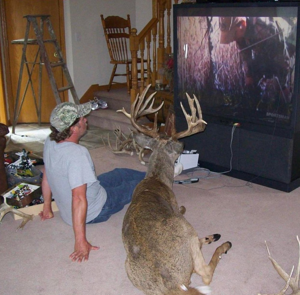 Daily Pictures. Part 1 (71 pics) Daily Pictures. Part 1 (71 pics)