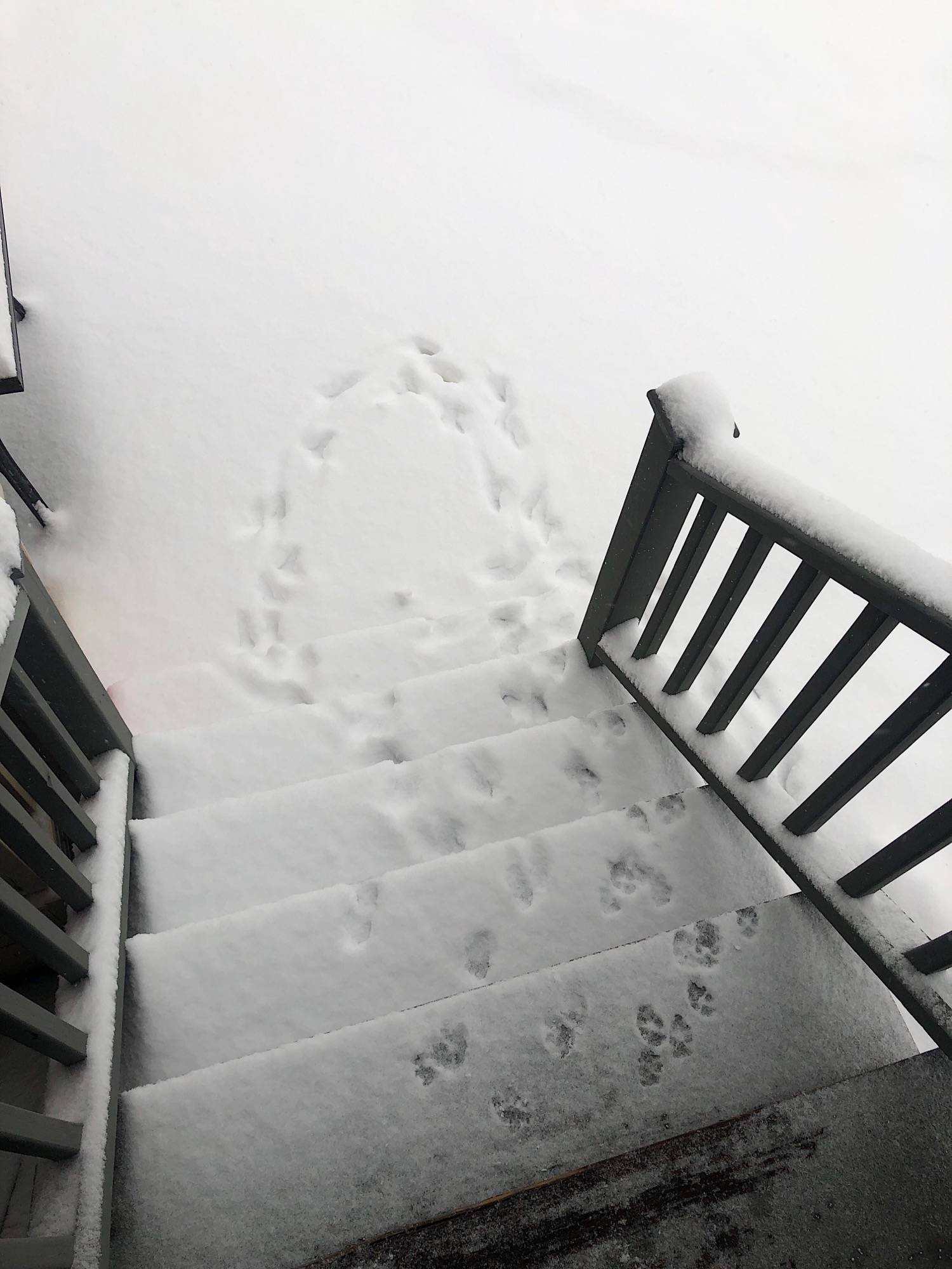 Daily Pictures. Part 1 (71 pics) Daily Pictures. Part 1 (71 pics)