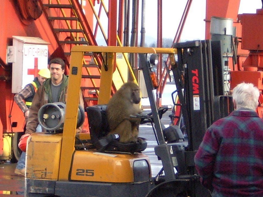 Daily Pictures. Part 1 (71 pics) Daily Pictures. Part 1 (71 pics)