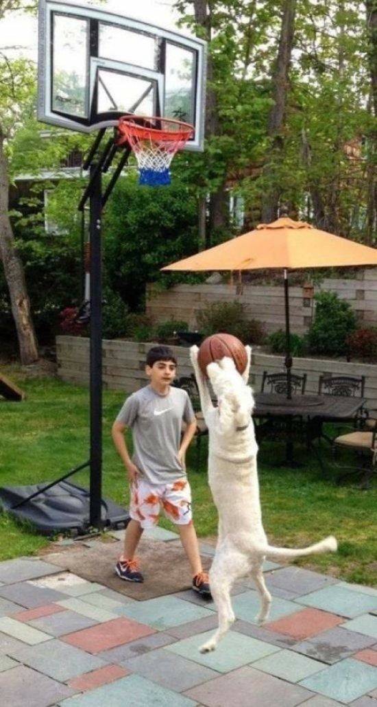 Daily Pictures. Part 1 (71 pics) Daily Pictures. Part 1 (71 pics)