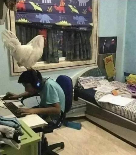 Daily Pictures. Part 1 (71 pics) Daily Pictures. Part 1 (71 pics)