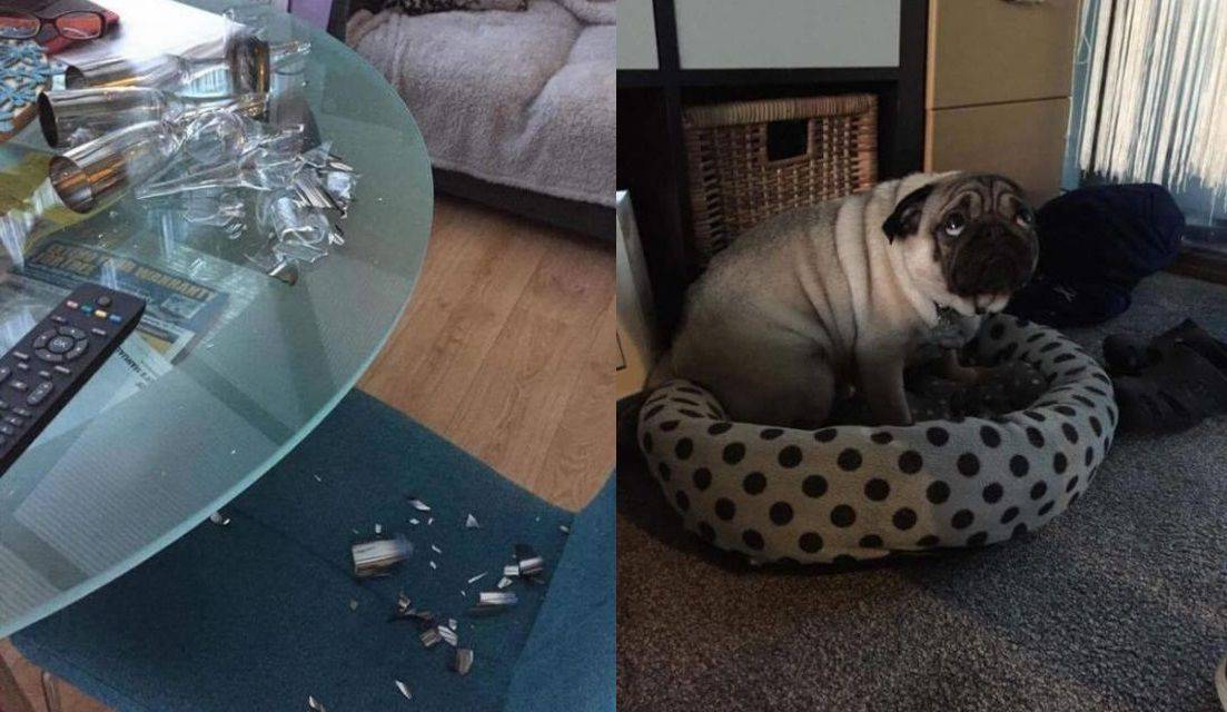 Daily Pictures. Part 1 (71 pics) Daily Pictures. Part 1 (71 pics)