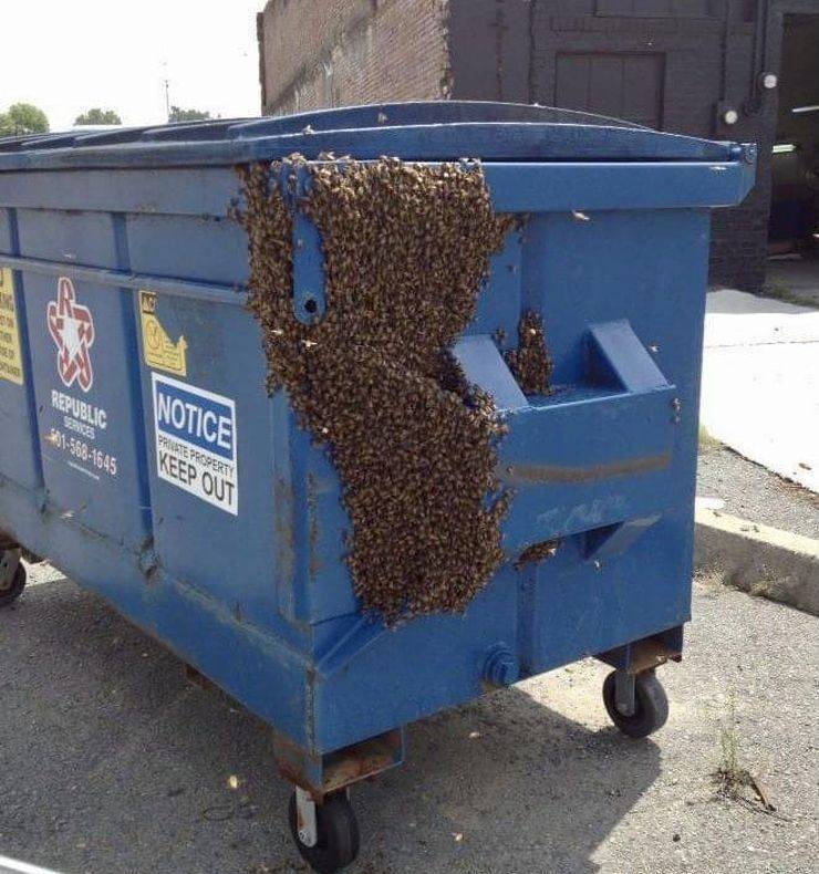 Daily Pictures. Part 2 (70 pics)