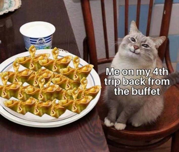 Daily Pictures. Part 2 (70 pics)