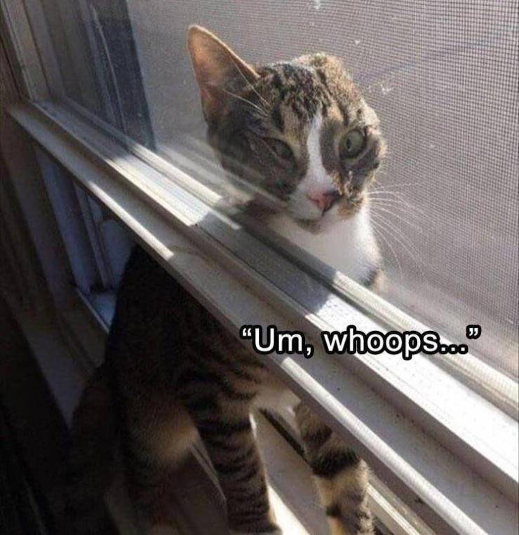 Daily Pictures. Part 2 (70 pics)