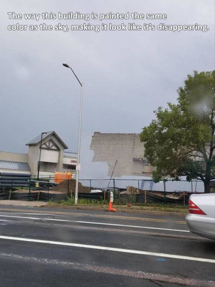 Daily Pictures. Part 2 (70 pics)