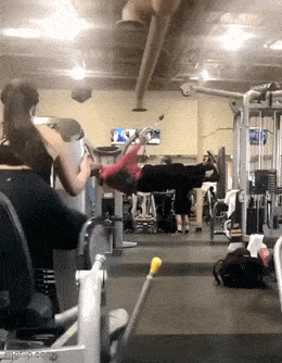 Acid GIFs, December 1 (25 gifs) Acid GIFs, December 1 (25 gifs)