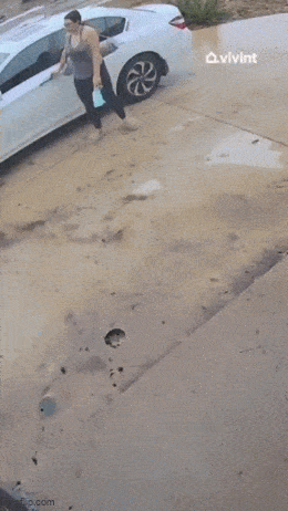 Acid GIFs, December 1 (25 gifs) Acid GIFs, December 1 (25 gifs)