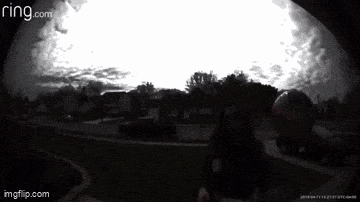 Acid GIFs, December 1 (25 gifs) Acid GIFs, December 1 (25 gifs)