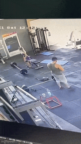 Acid GIFs, December 1 (25 gifs) Acid GIFs, December 1 (25 gifs)