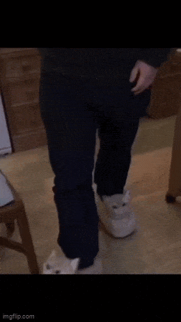 Acid GIFs, December 1 (25 gifs) Acid GIFs, December 1 (25 gifs)