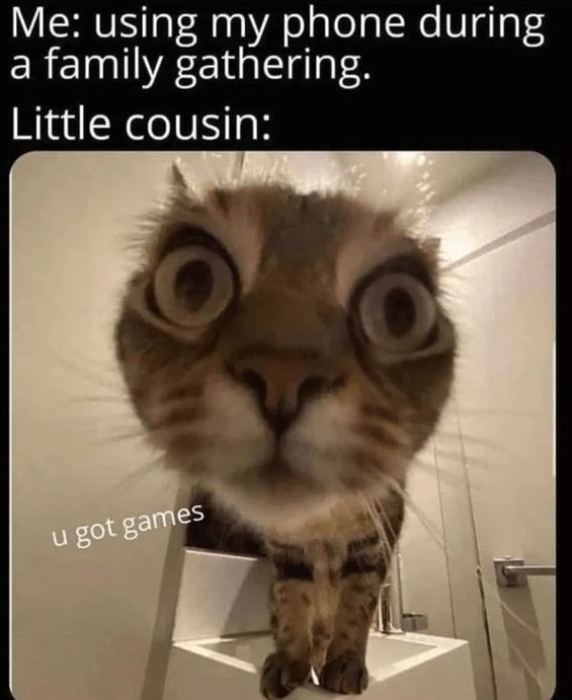 Family Memes (48 pics)