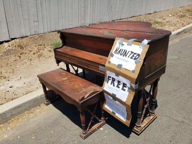 Funny Signs (24 pics)