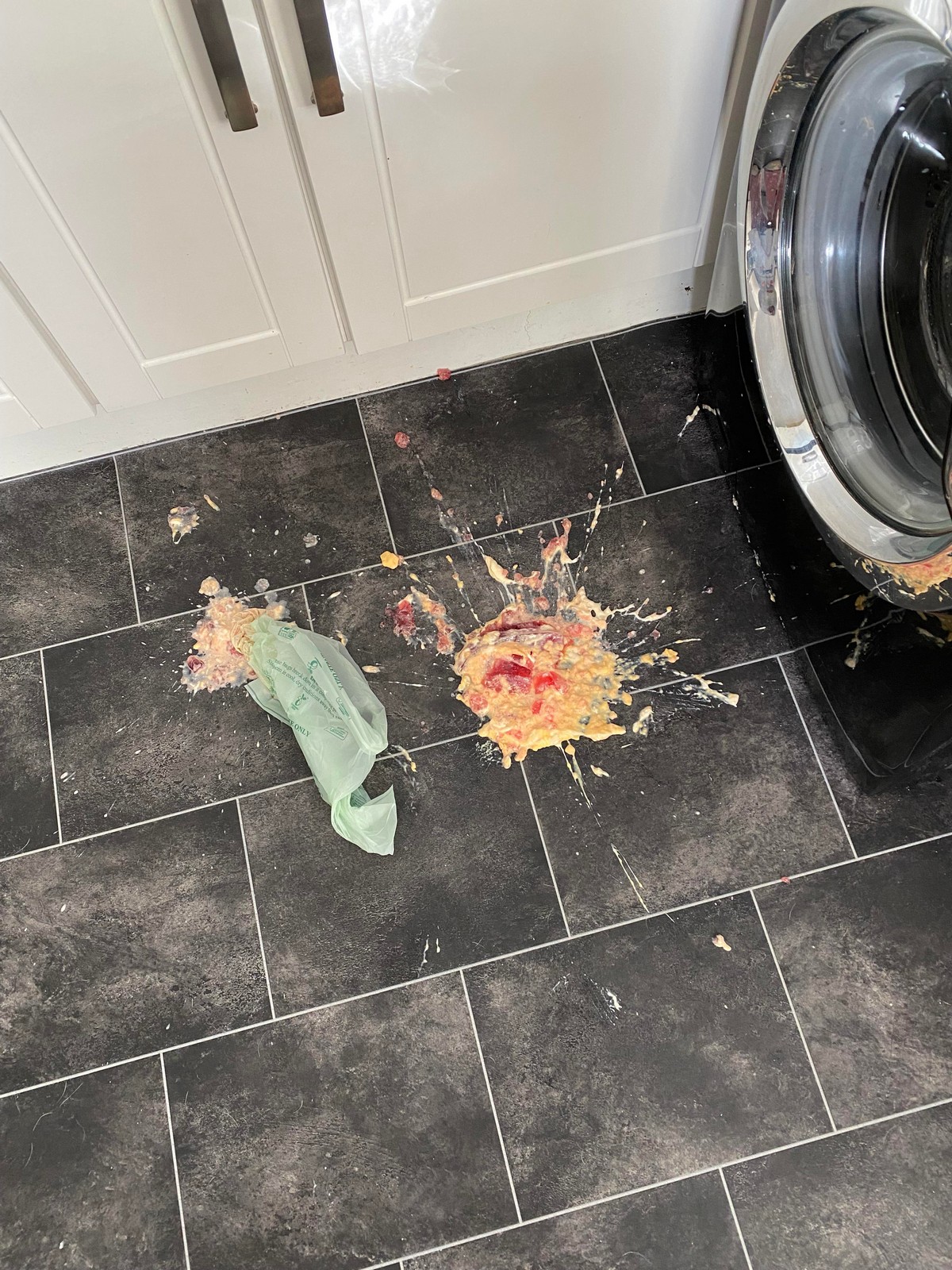 Bad Days Happen (33 pics)