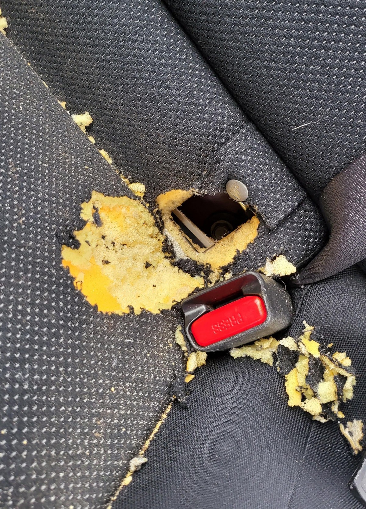 Bad Days Happen (33 pics)