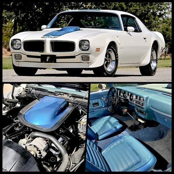 Cool Muscle Cars (25 pics)