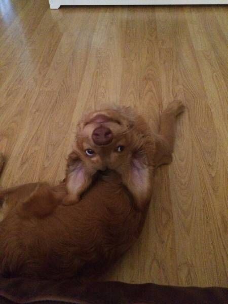 Daily Pictures. Part 1 (65 pics) Daily Pictures. Part 1 (65 pics)