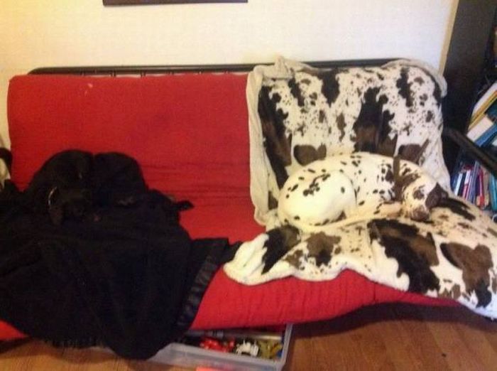 Daily Pictures. Part 1 (65 pics) Daily Pictures. Part 1 (65 pics)