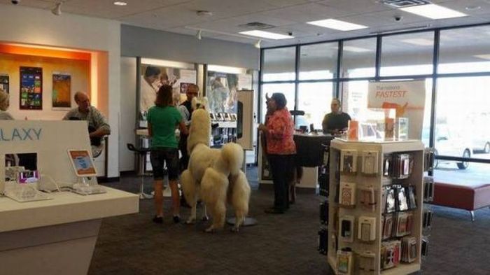 Daily Pictures. Part 1 (65 pics) Daily Pictures. Part 1 (65 pics)