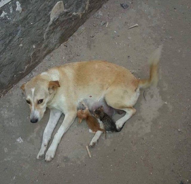 Daily Pictures. Part 1 (65 pics) Daily Pictures. Part 1 (65 pics)