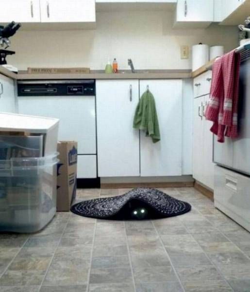 Daily Pictures. Part 1 (65 pics) Daily Pictures. Part 1 (65 pics)