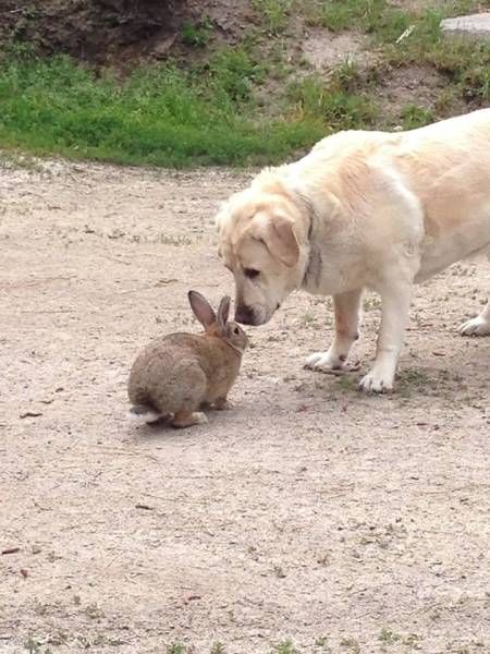 Daily Pictures. Part 1 (65 pics) Daily Pictures. Part 1 (65 pics)