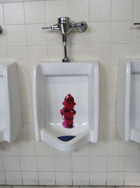 Daily Pictures. Part 2 (64 pics)