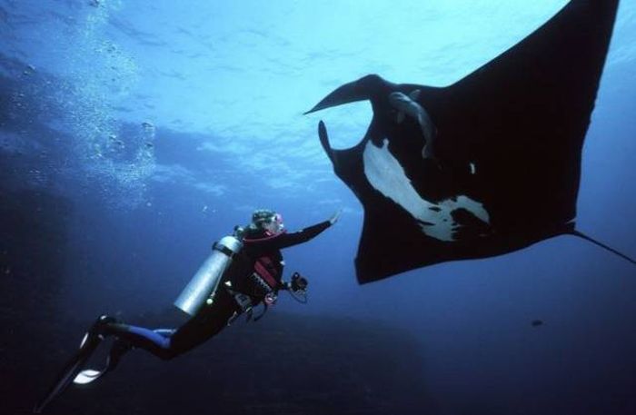 Daily Pictures. Part 1 (65 pics) Daily Pictures. Part 1 (65 pics)