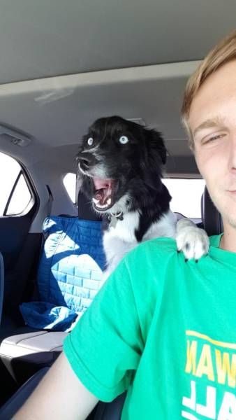 Daily Pictures. Part 2 (64 pics)