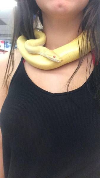 Daily Pictures. Part 2 (64 pics)