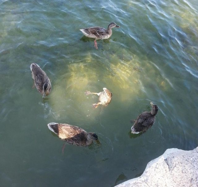 Daily Pictures. Part 1 (65 pics) Daily Pictures. Part 1 (65 pics)