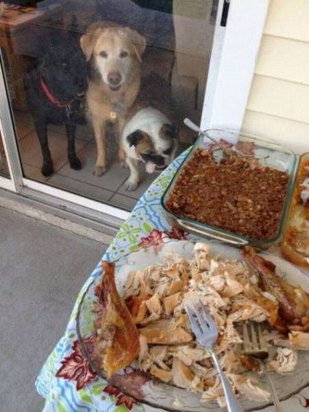 Daily Pictures. Part 2 (64 pics)