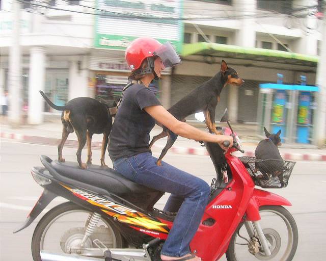 Daily Pictures. Part 2 (64 pics)