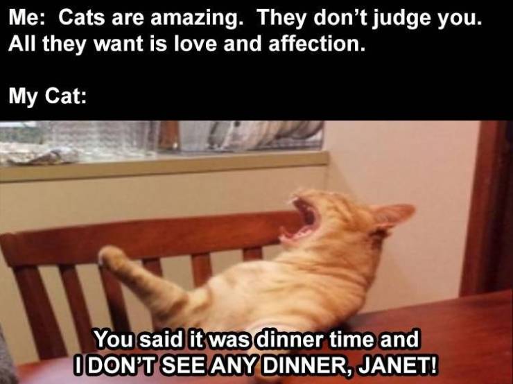 Daily Pictures. Part 2 (64 pics)