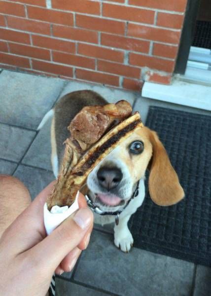 Daily Pictures. Part 2 (64 pics)