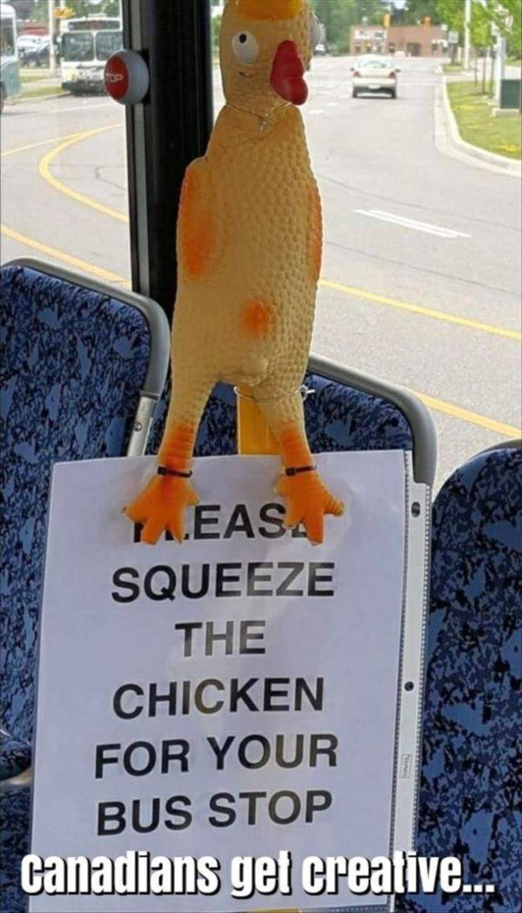 Daily Pictures. Part 2 (64 pics)