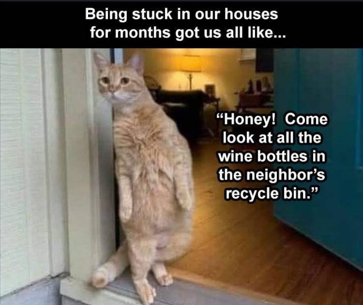 Daily Pictures. Part 2 (64 pics)